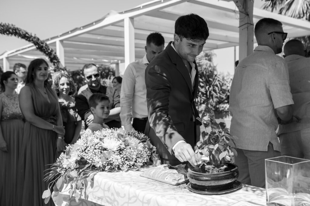 Ritual boda civil. Ritual del bonsai. Boda civil zaragoza. Consejo fotografo de bodas zaragoza